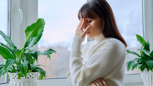 Exploring the role of vitamins to tackle menopause symptoms
